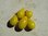 Gelbes Birnchen Yellow Pearshaped