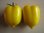 Samenpaket "Yellow Sun" 4 Sorten gelbe Tomaten