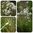 Schnittknoblauch Allium tuberosum