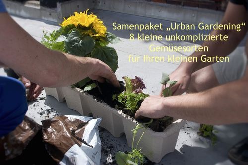 Samenpaket "Urban Gardening" 8 kleine unkomplizierte Gemüsesorten