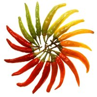 Chilis - Nach Farben