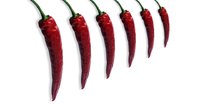 Chilis - Schärfe 3-4 (mild)