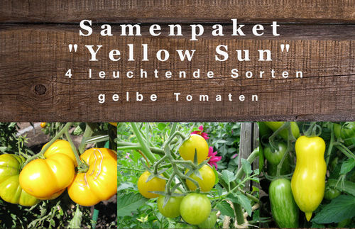 Samenpaket "Yellow Sun" 4 Sorten gelbe Tomaten