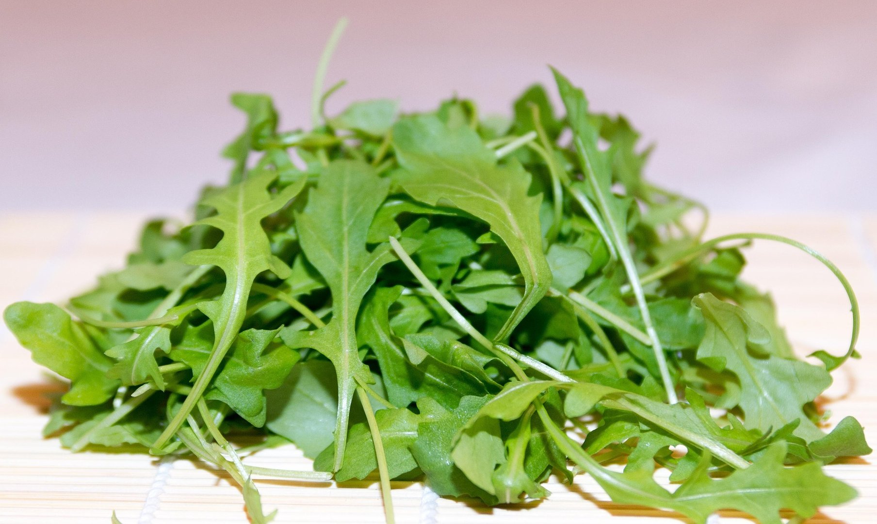 Salatrauke Eruca sativa Salat für den Balkon milder als Rucola