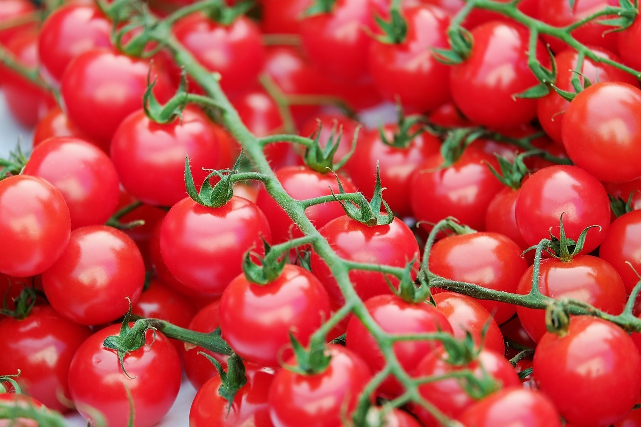 Zuckertraube süße und aromatische Cherry-Tomate 20 Samen bekannte Tomate 