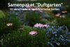 Samenpaket "Duftgarten" 10 verschiedene Sorten