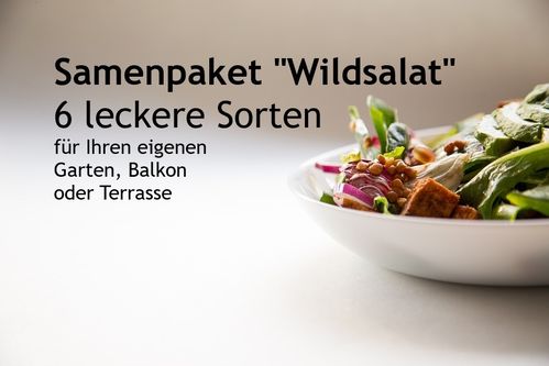 Samenpaket "Wildsalat" 6 leckere tolle Sorten