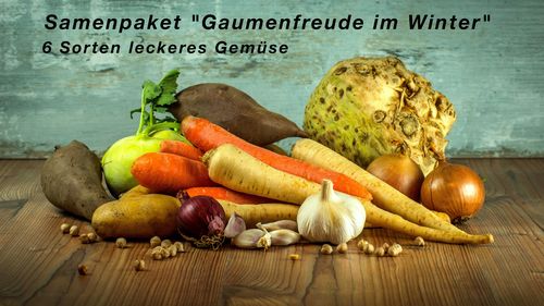 Samenpaket "Gaumenfreude im Winter" 6 Sorten Wintergemüse
