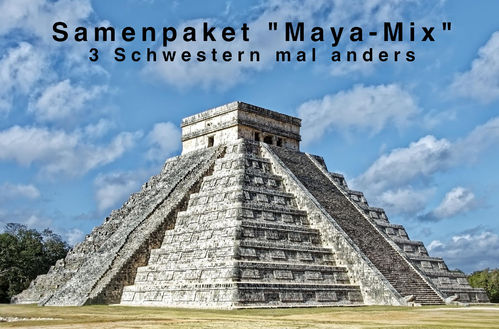 Samenpaket "Maya-Mix" 3 Schwestern mal anders