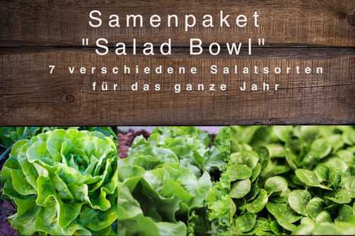 Samenpaket "Salad Bowl"