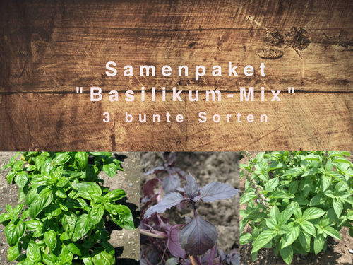 Samenpaket "Basilikum-Mix" 3 bunte Sorten