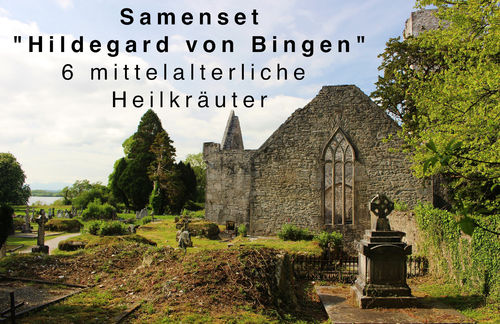 Samenpaket "Hildegard von Bingen" 6 Heilkräuter
